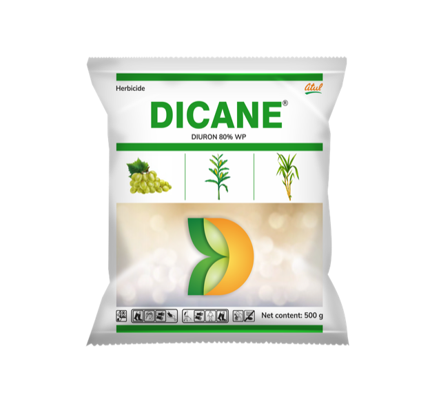 Dicane pack