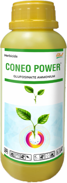 Coneo Power pack