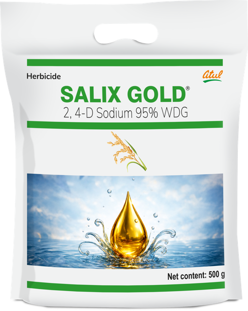 Salix Gold pack