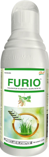 Furio pack