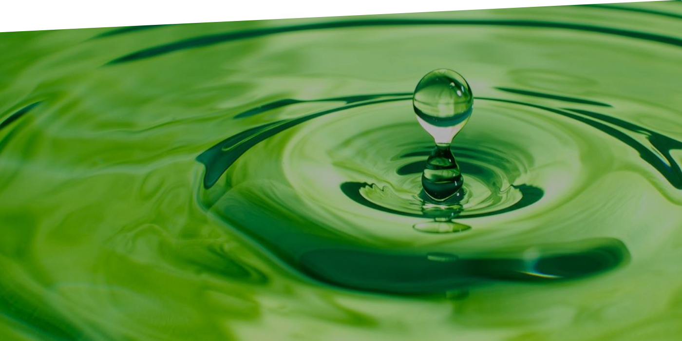 Water droplet on a green leaf from Atul's official Products section