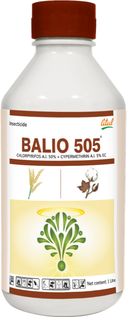 Balio 505 pack