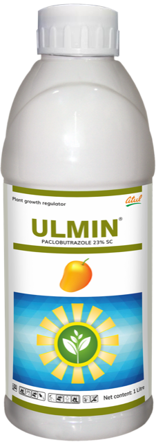 Ulmin pack