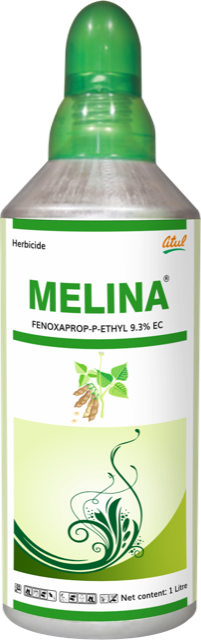 Melina pack