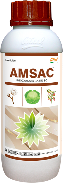 Amsac pack