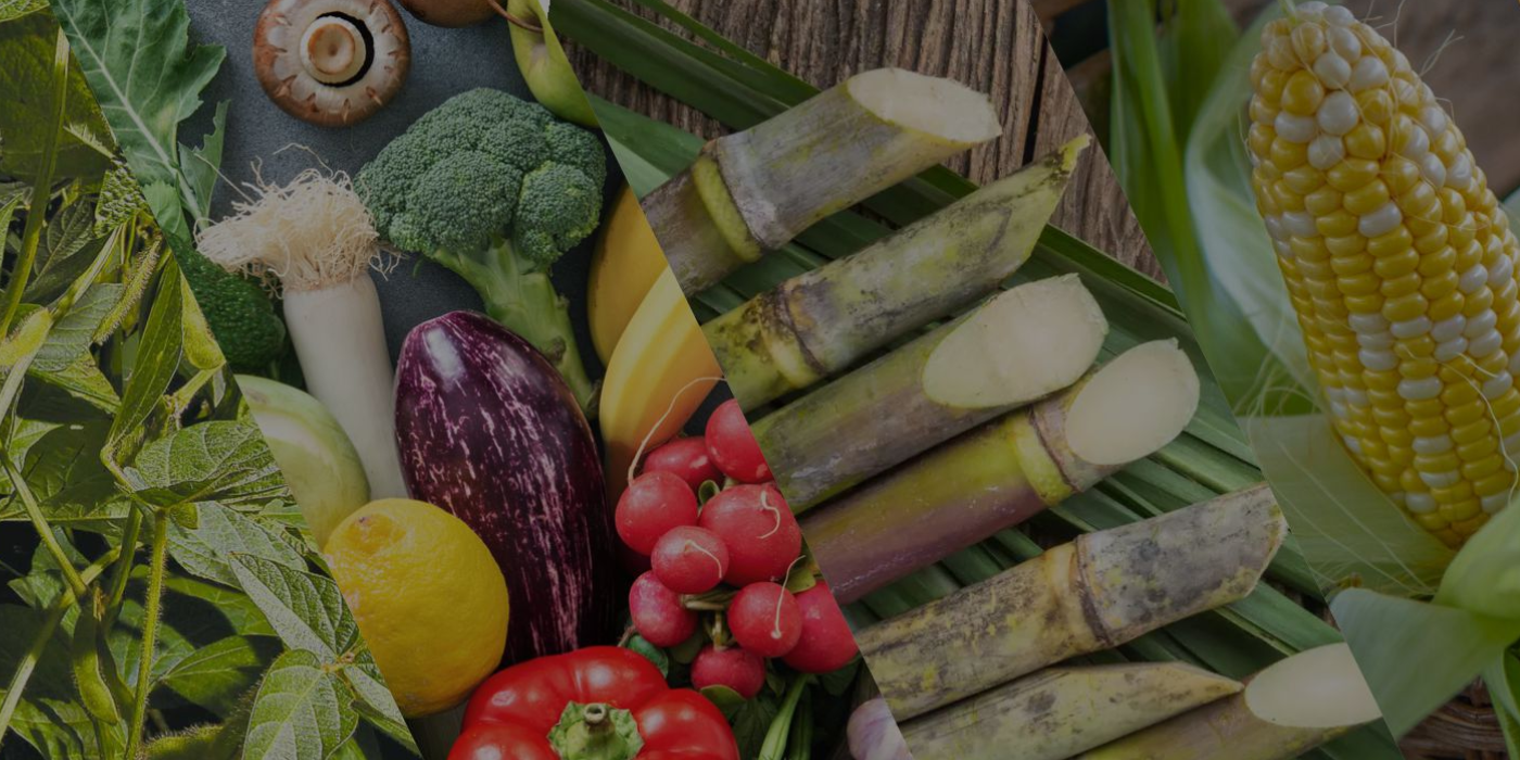 Vegetables, sugarcane and maize from Atul's official Crops section