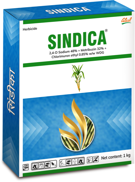 Sindica pack