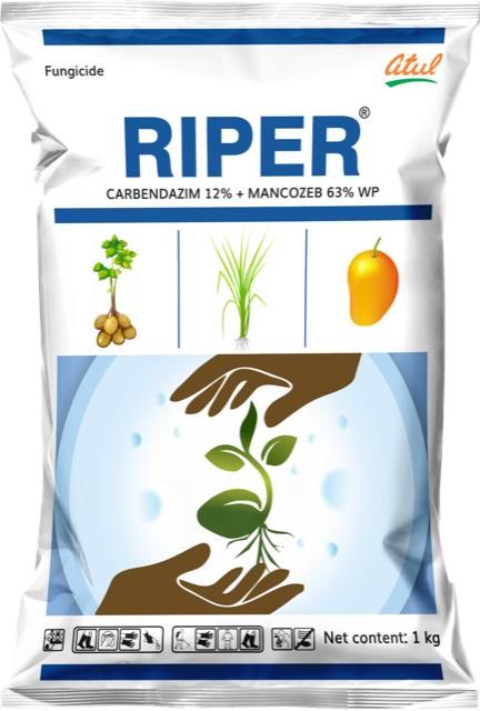 Riper pack