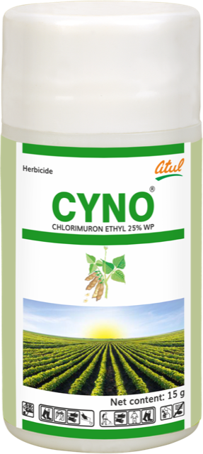 Cyno pack