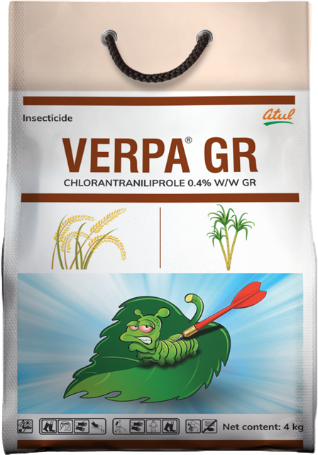Verpa GR pack