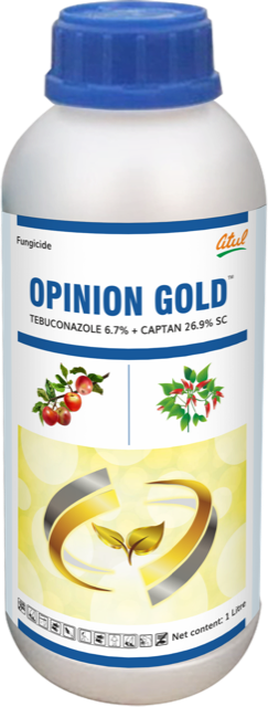 Opinion Gold pack