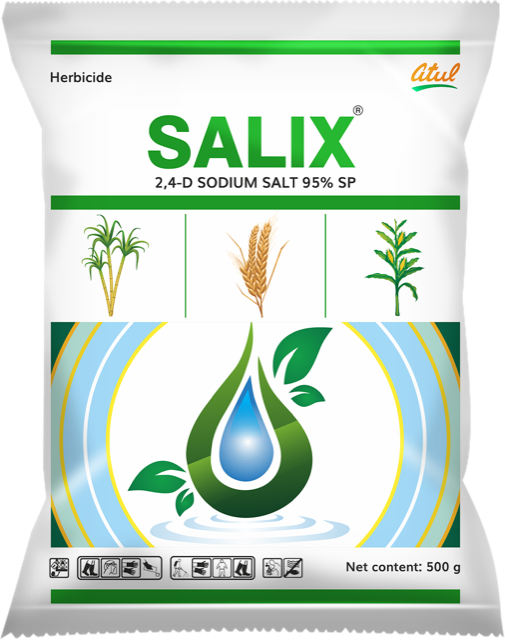 Salix pack