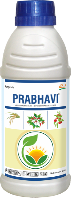 Prabhavi pack