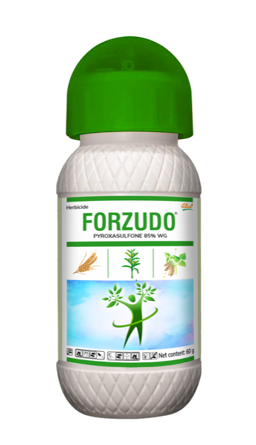 Forzudo pack