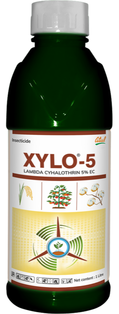 Xylo-5 pack