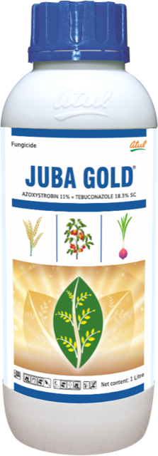 Juba Gold pack