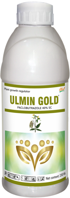 Ulmin Gold pack